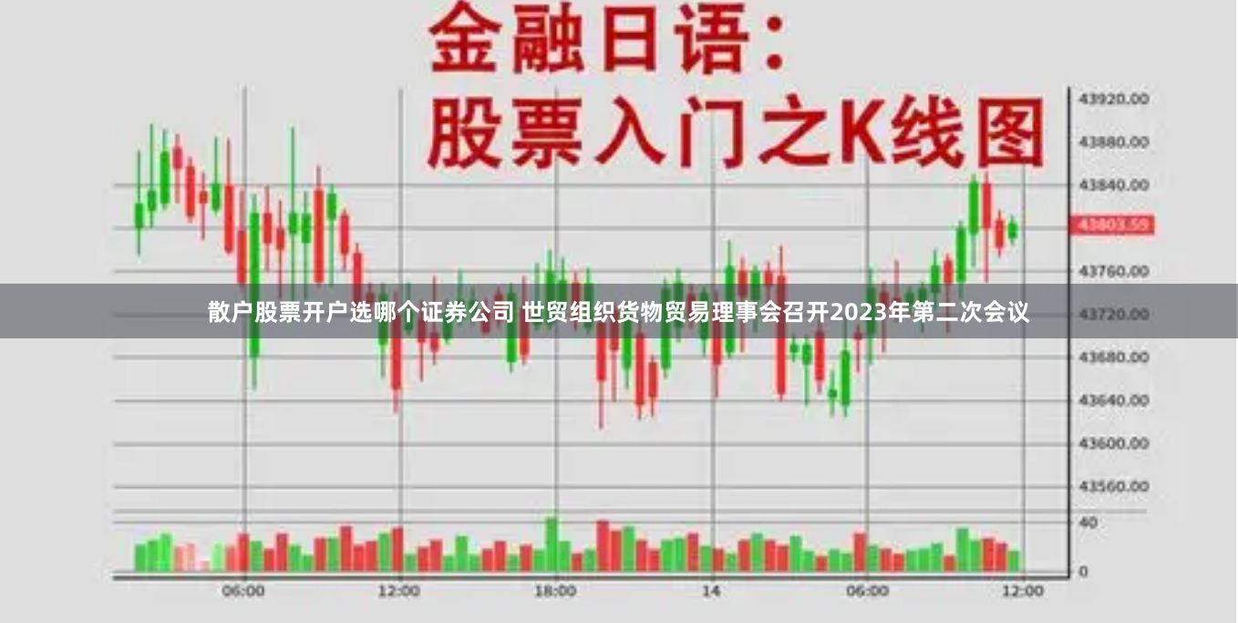 散户股票开户选哪个证券公司 世贸组织货物贸易理事会召开2023年第二次会议
