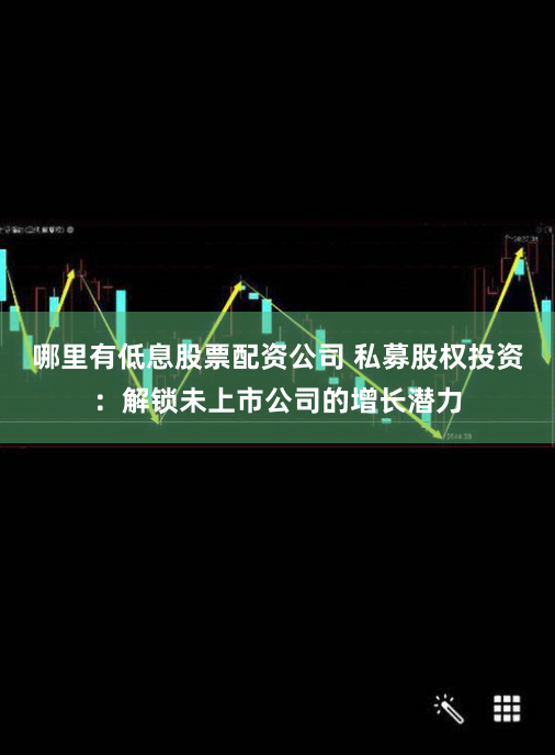 哪里有低息股票配资公司 私募股权投资：解锁未上市公司的增长潜力